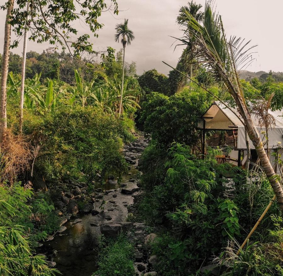 Hotel Camani Glamping à Karangasem Extérieur photo