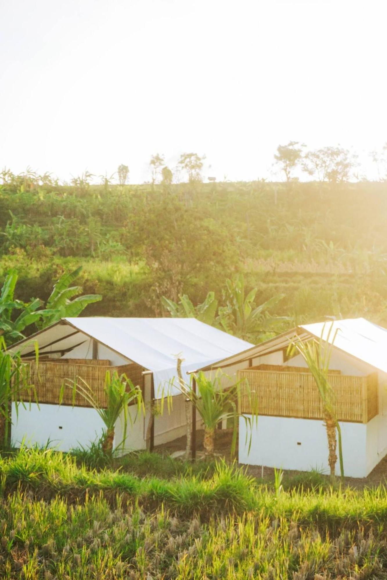 Hotel Camani Glamping à Karangasem Extérieur photo