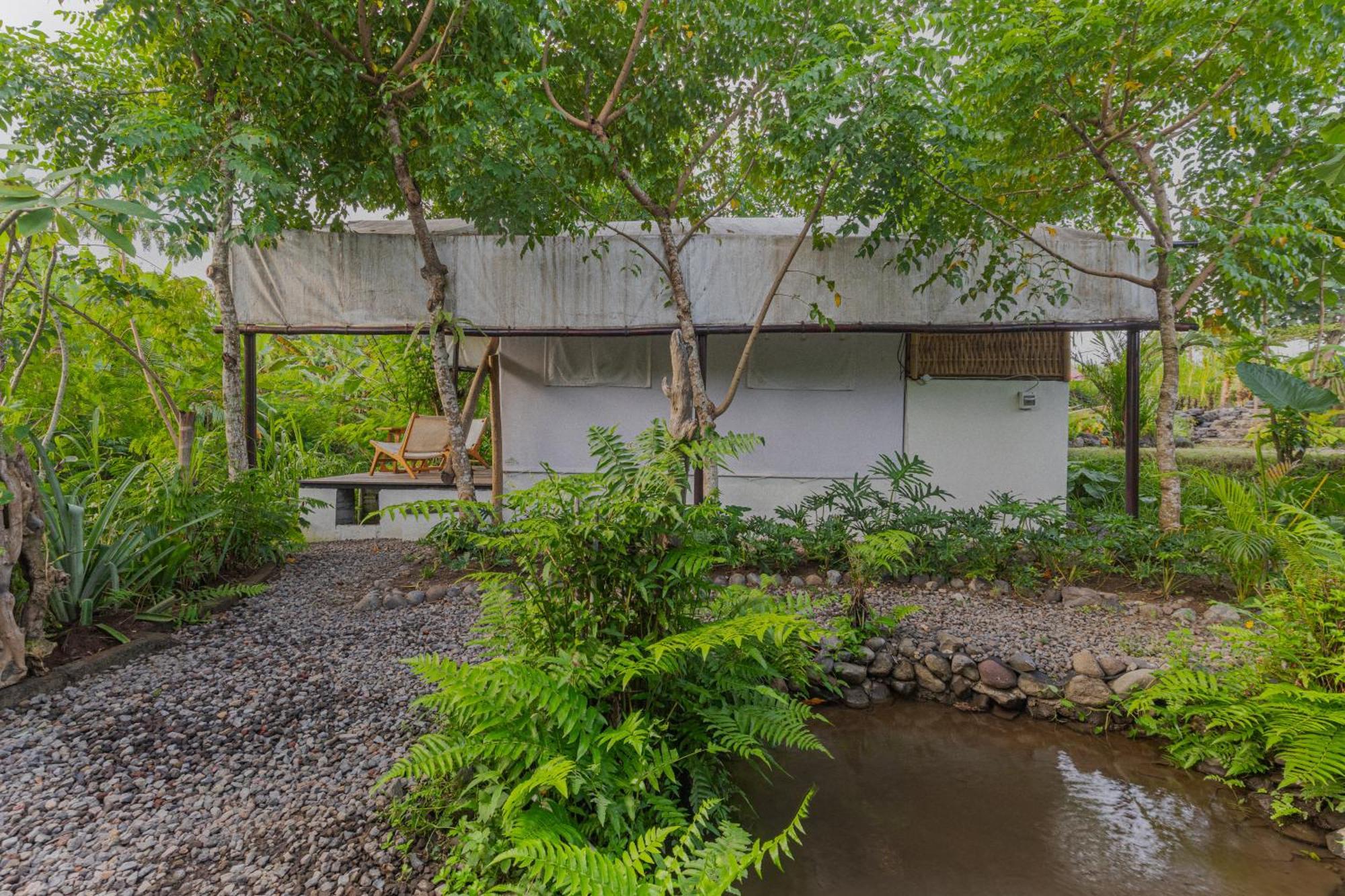 Hotel Camani Glamping à Karangasem Extérieur photo