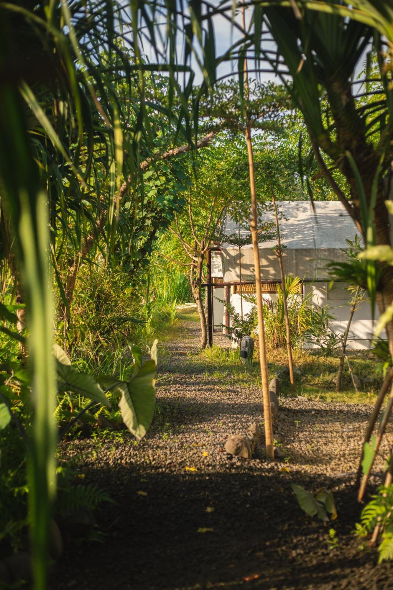 Hotel Camani Glamping à Karangasem Extérieur photo