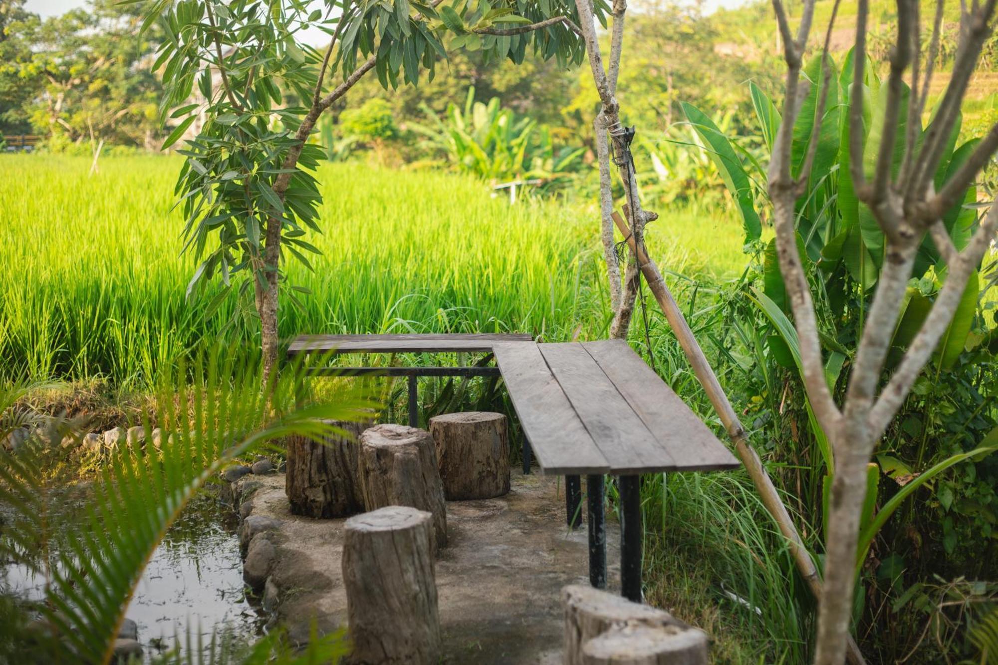 Hotel Camani Glamping à Karangasem Extérieur photo
