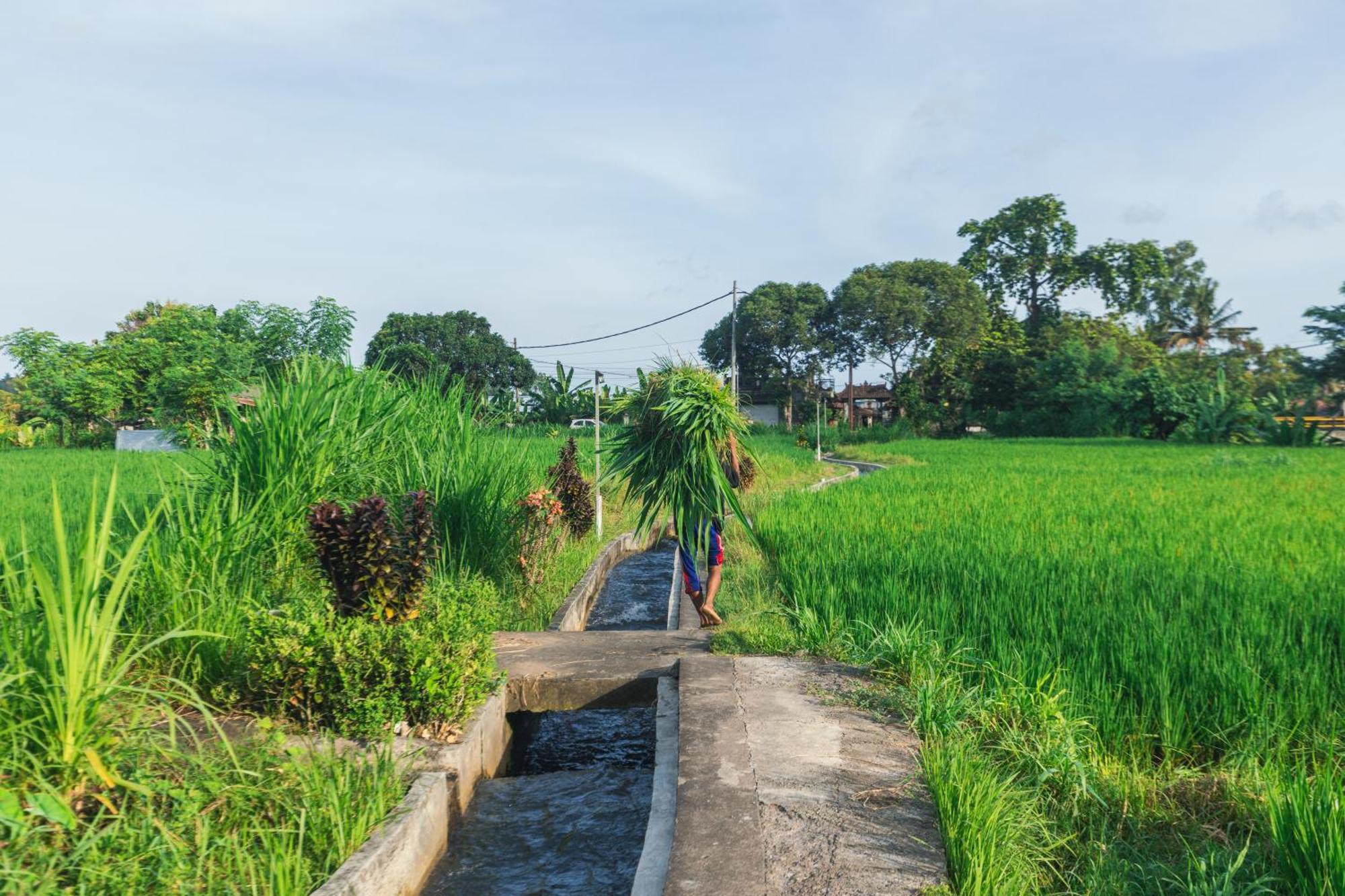 Hotel Camani Glamping à Karangasem Extérieur photo