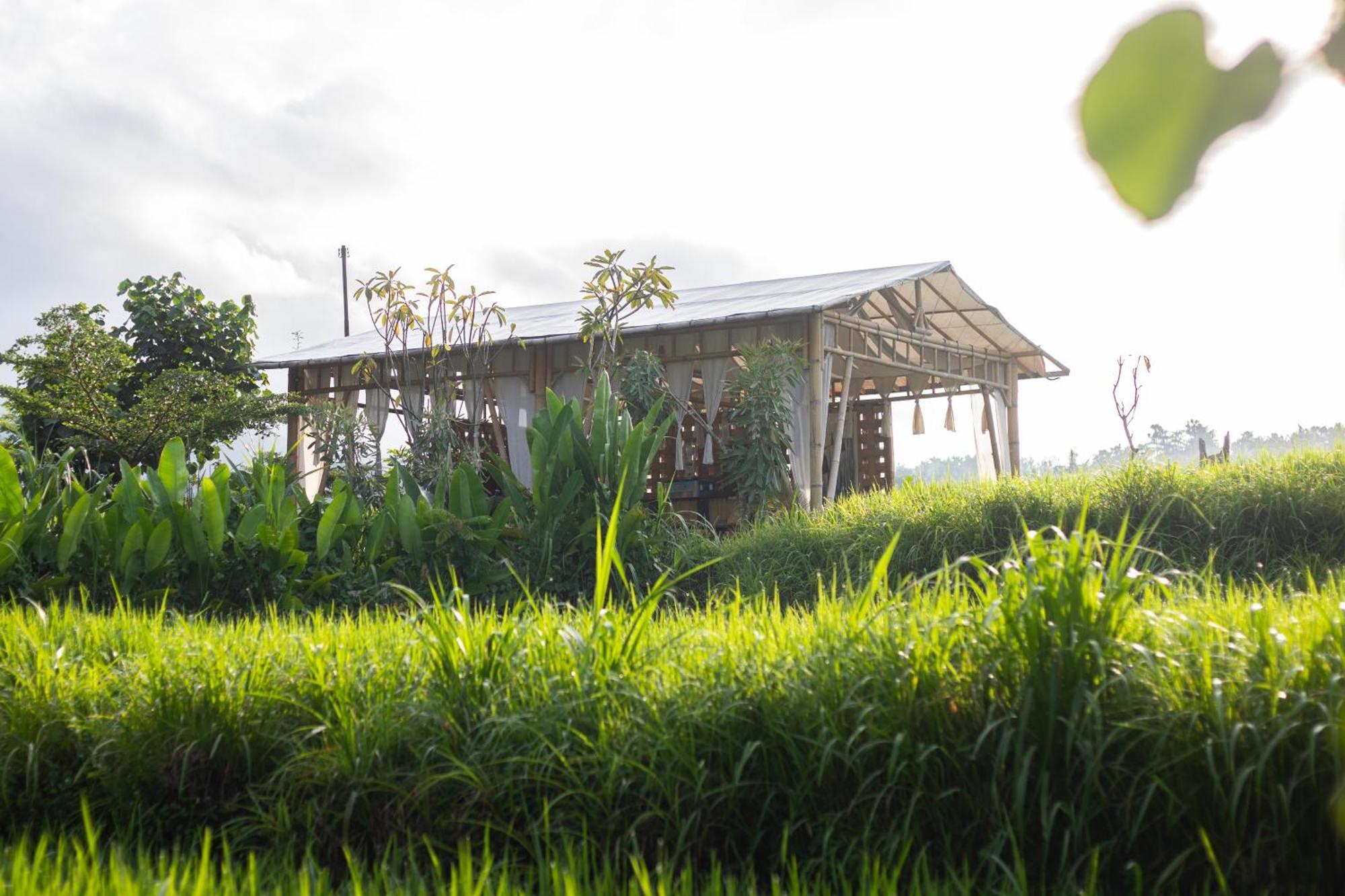 Hotel Camani Glamping à Karangasem Extérieur photo