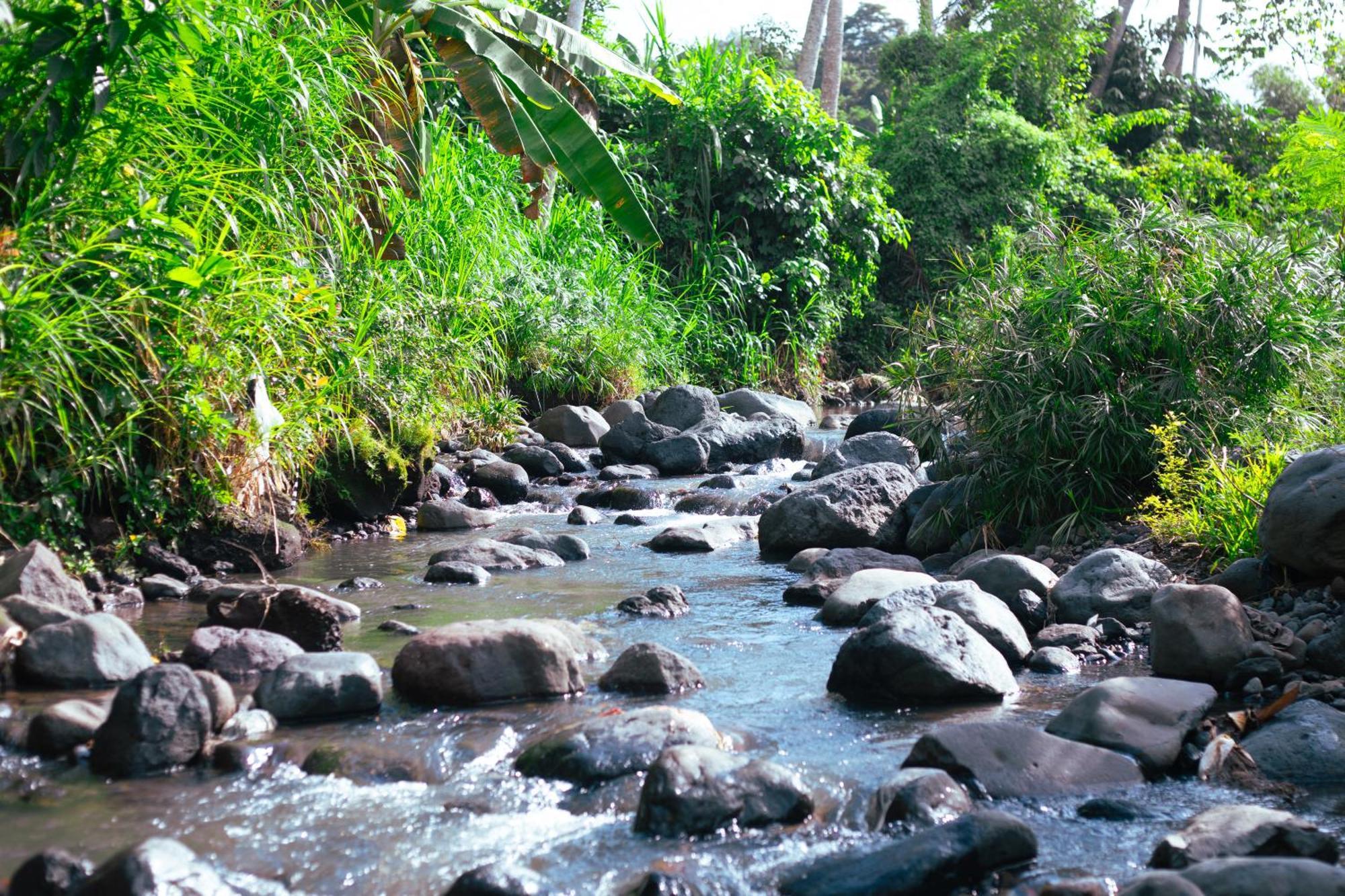 Hotel Camani Glamping à Karangasem Extérieur photo