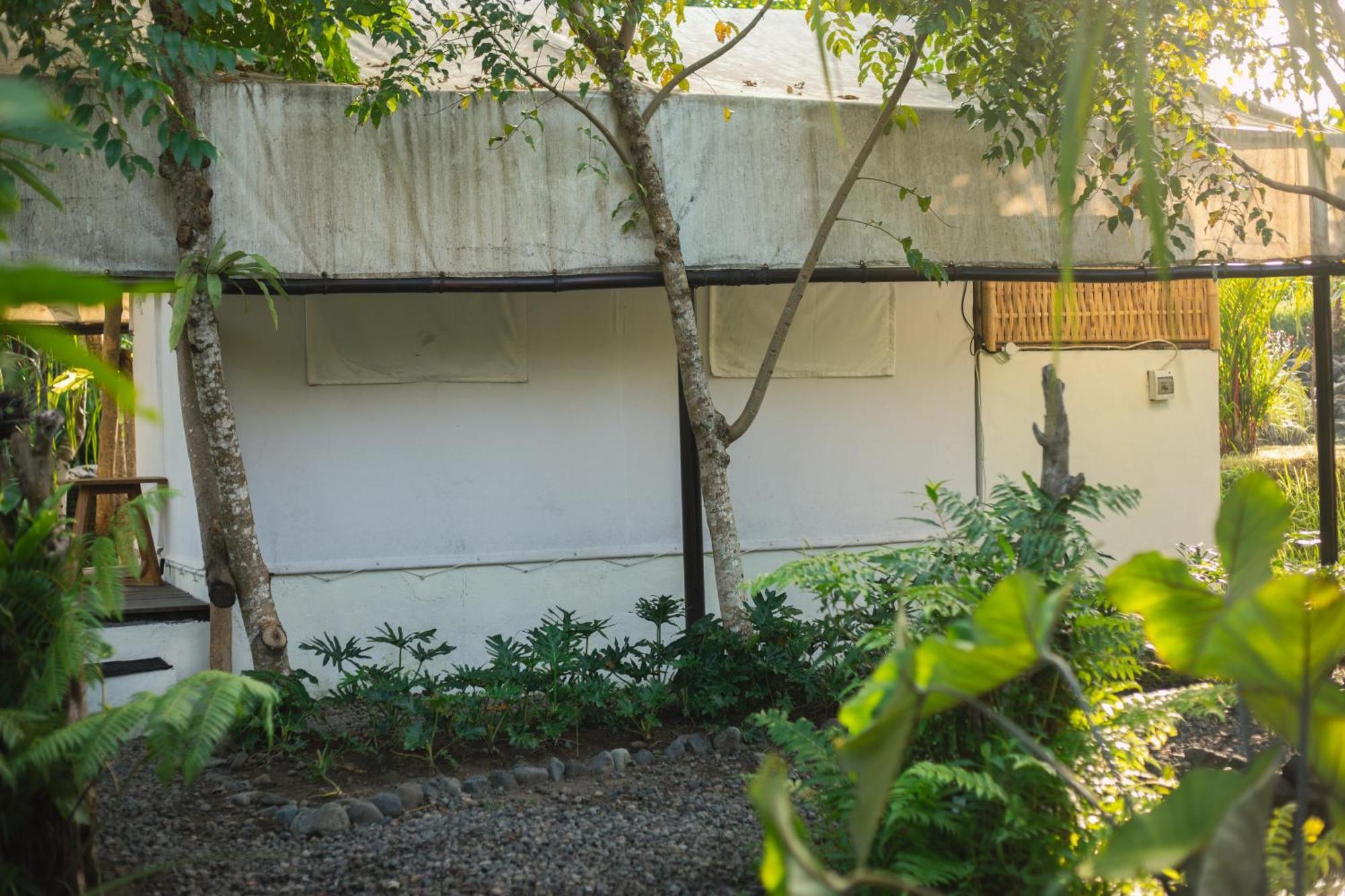Hotel Camani Glamping à Karangasem Chambre photo